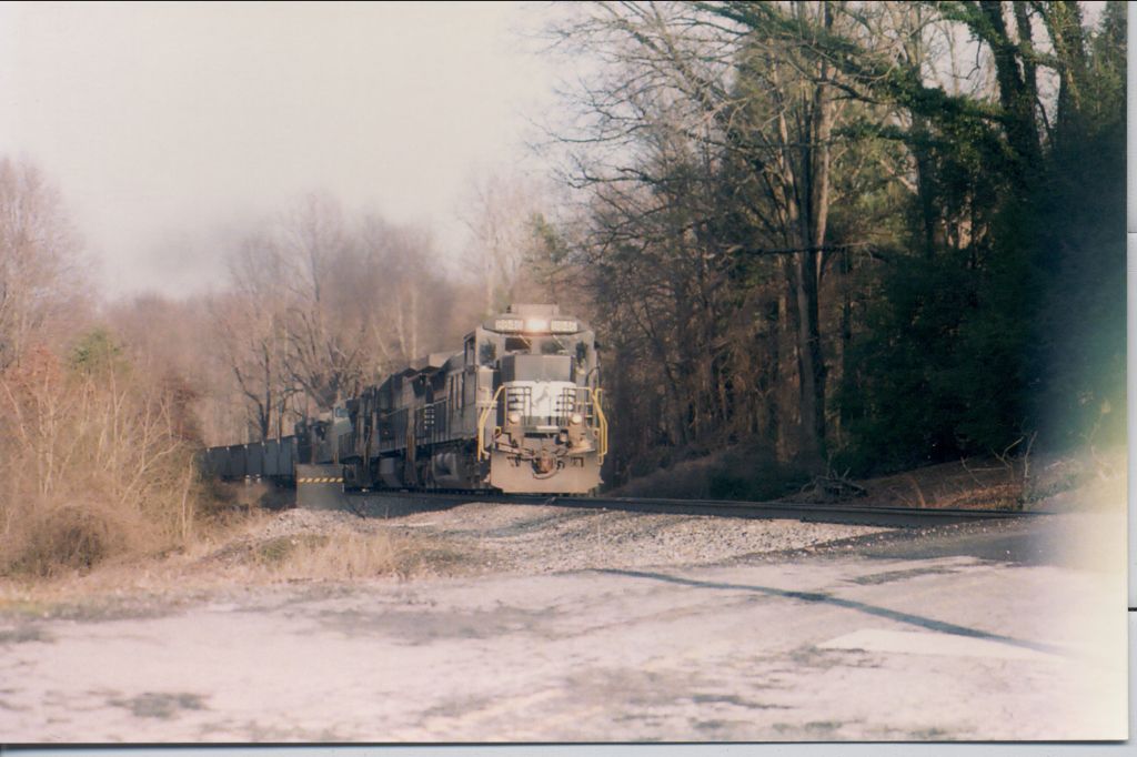 OOH!!  Bright Light!!! Bright Light!!!